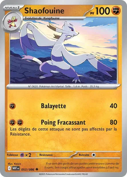 053 - Shaofouine