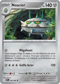 069 - Noacier