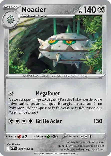 069 - Noacier