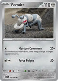 070 - Fermite