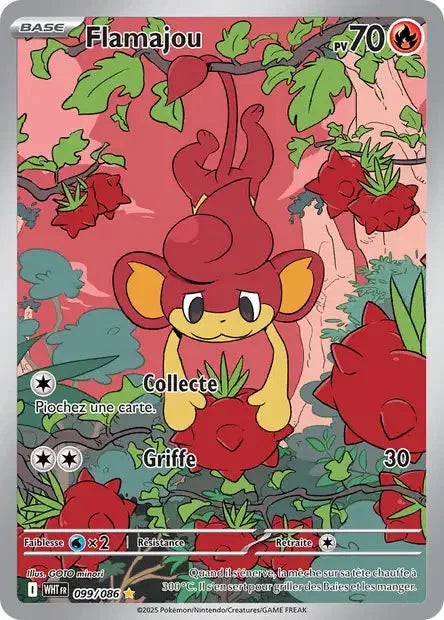 099 - Flamajou