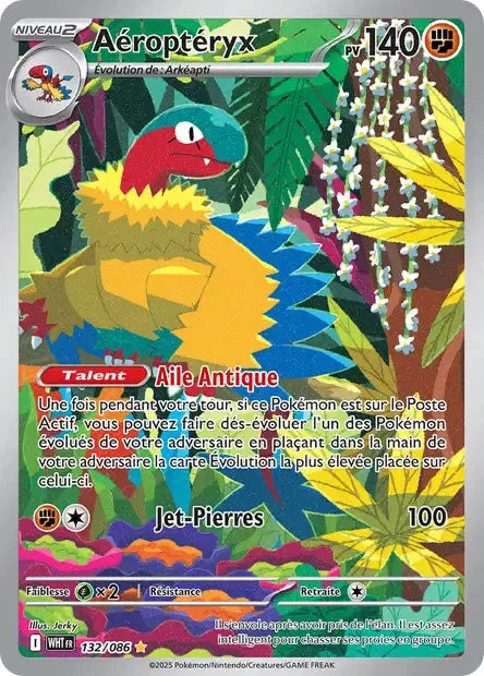 132 - Aéroptéryx