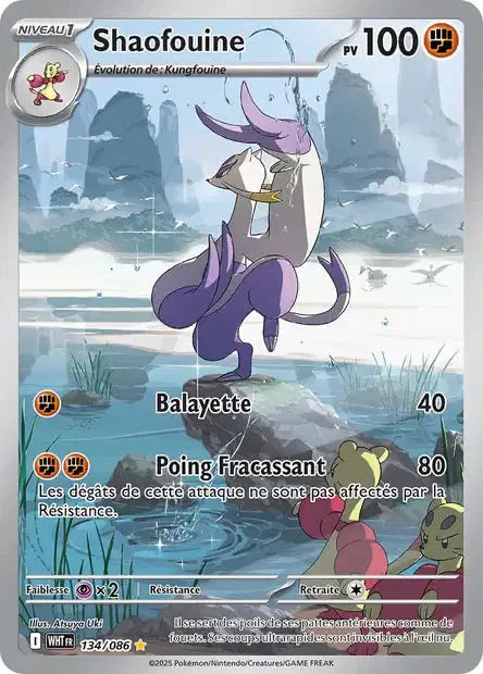 134 - Shaofouine