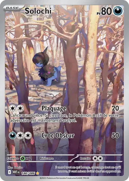 146 - Solochi