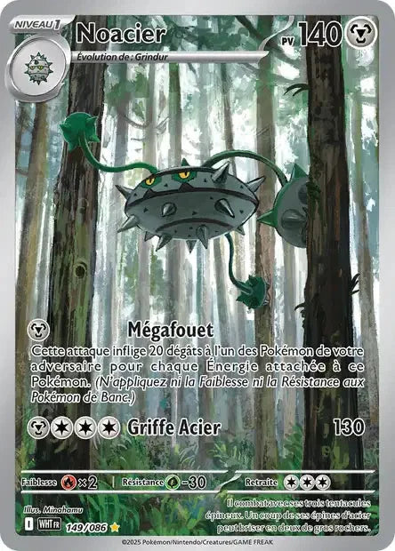 149 - Noacier