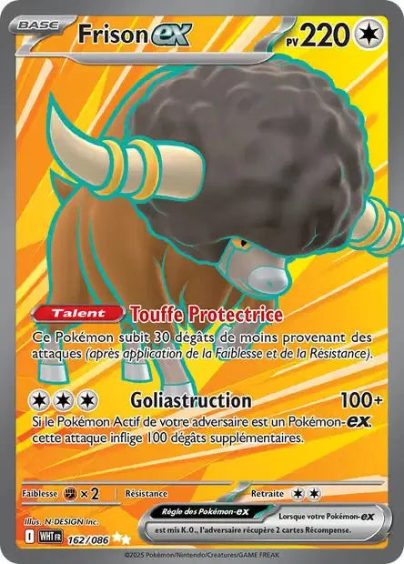 162 - Frison