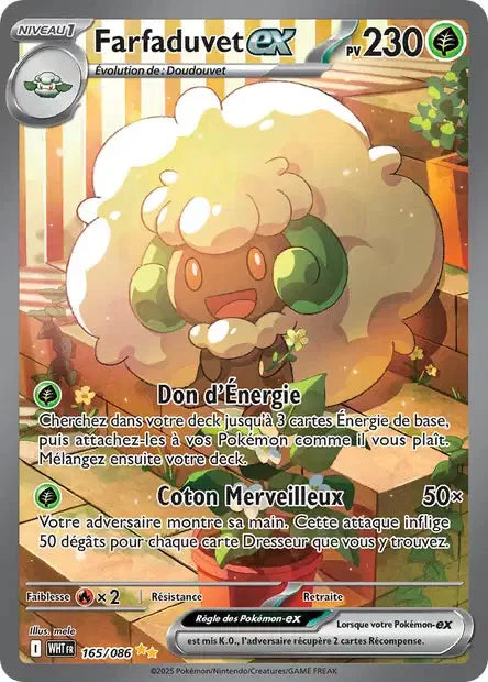 165 - Farfaduvet